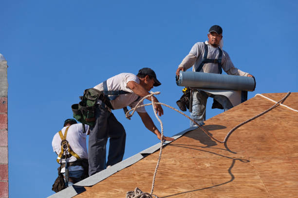 Roof Gutter Cleaning in Bargaintown, NJ